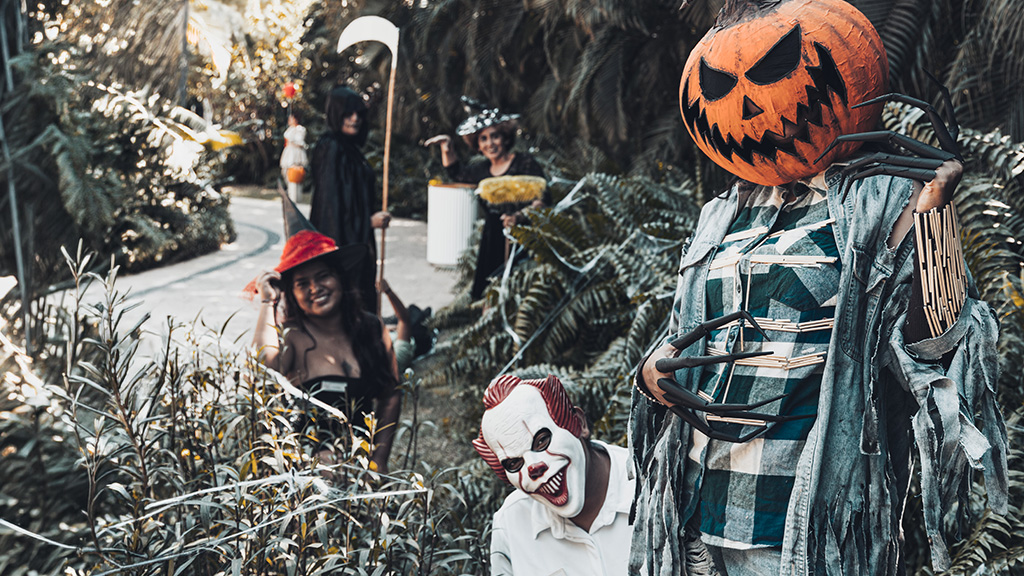 Celebrando Halloween en Riviera Nayarit: Guía Completa